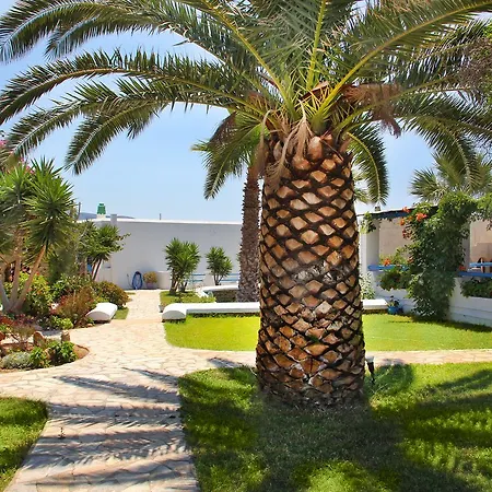 Skarmoutsos Aliko Beach
