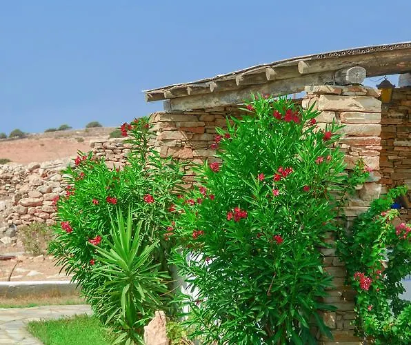 Skarmoutsos 알리코비치