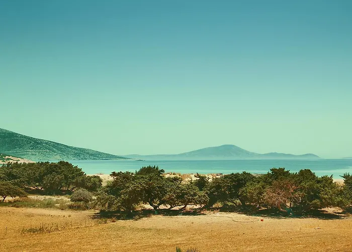 Skarmoutsos 게스트하우스